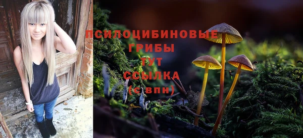 PSILOCYBIN Богородицк