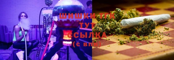 PSILOCYBIN Богородицк